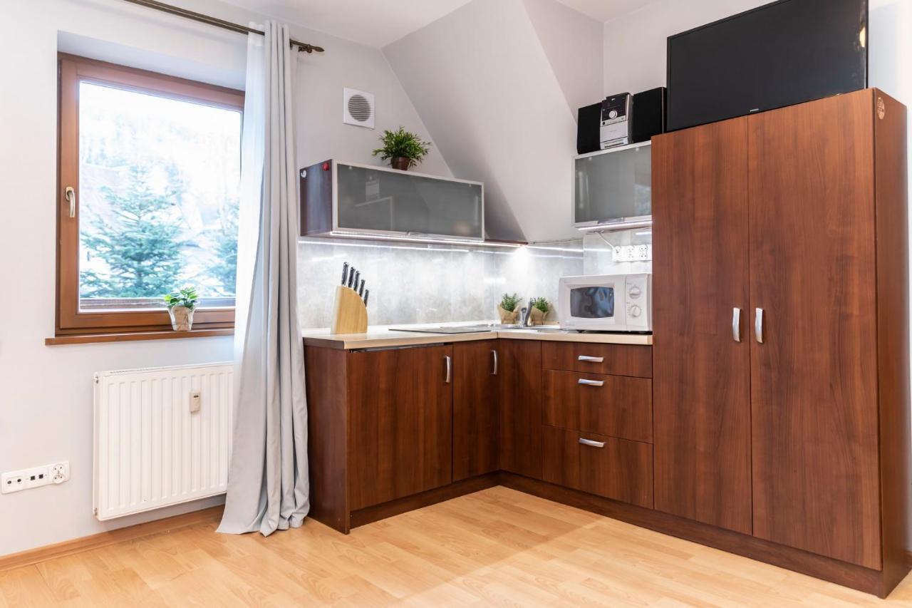 Udanypobyt Apartamenty Skocznia 자코파네 외부 사진